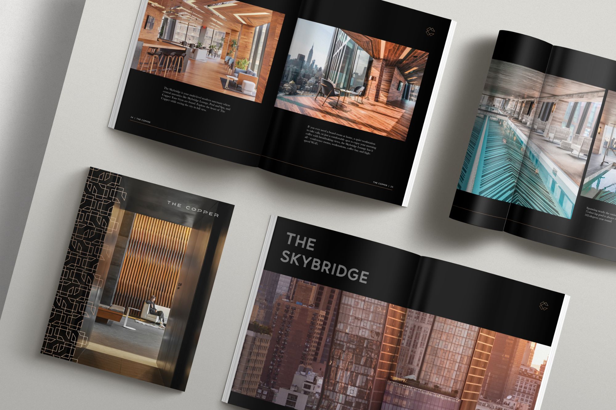 Brochure, The Skybridge