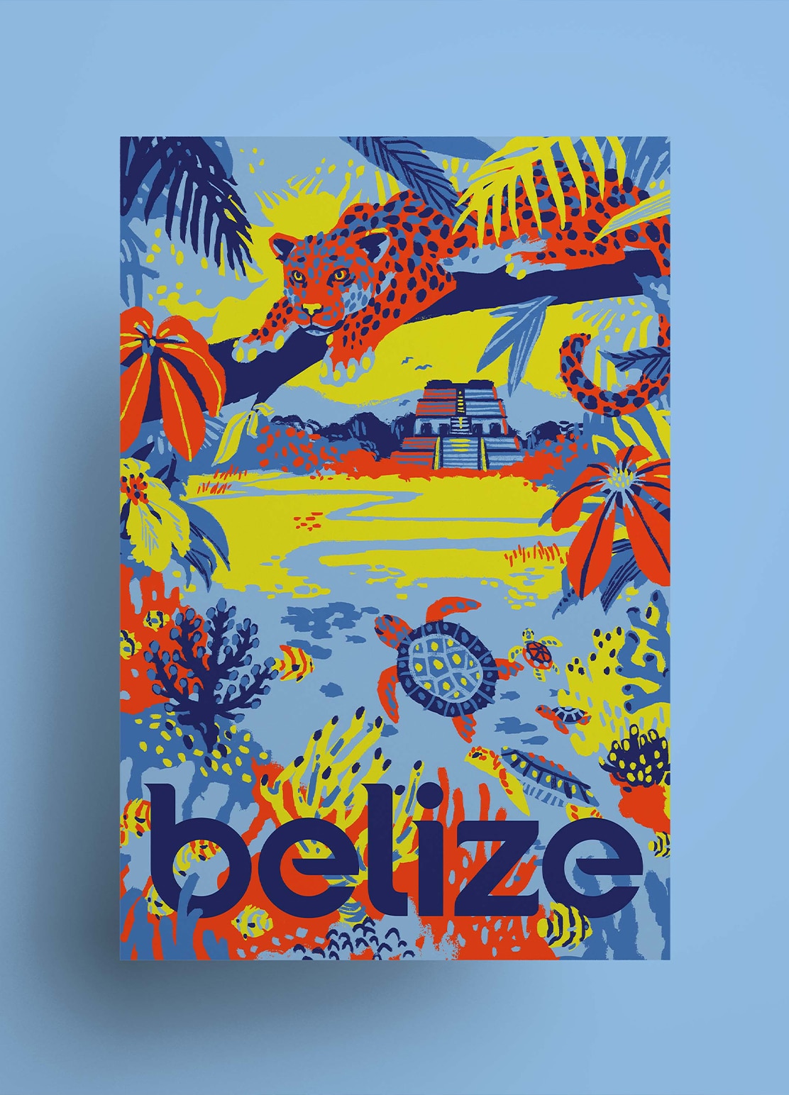CV_Belize_Poster