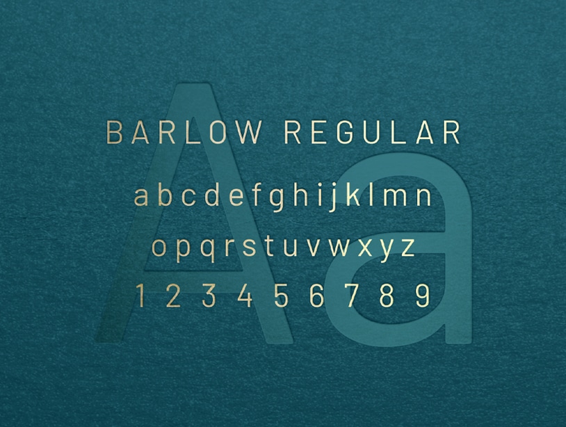 Camilla_Venturi_Muna_Typography_Barlow_2