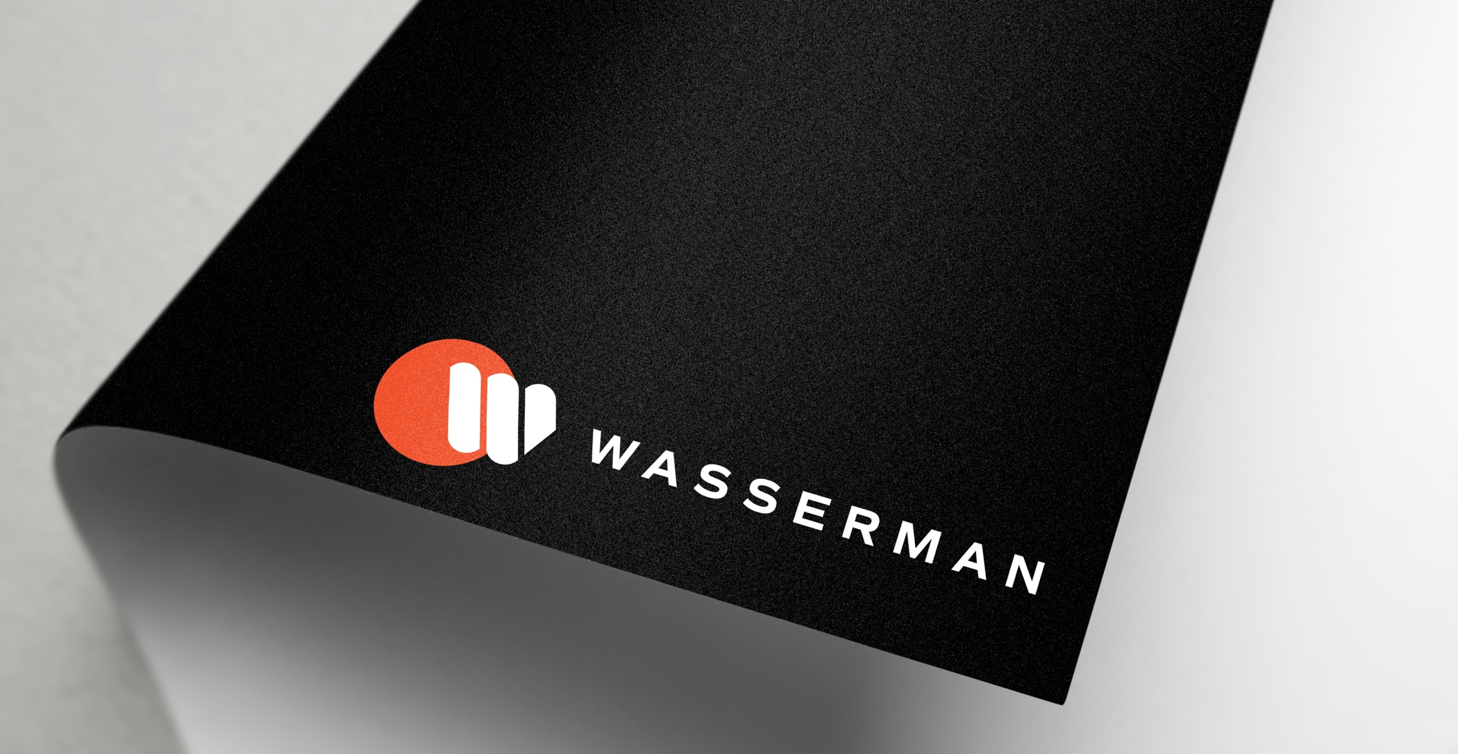 CV_Wasserman_2